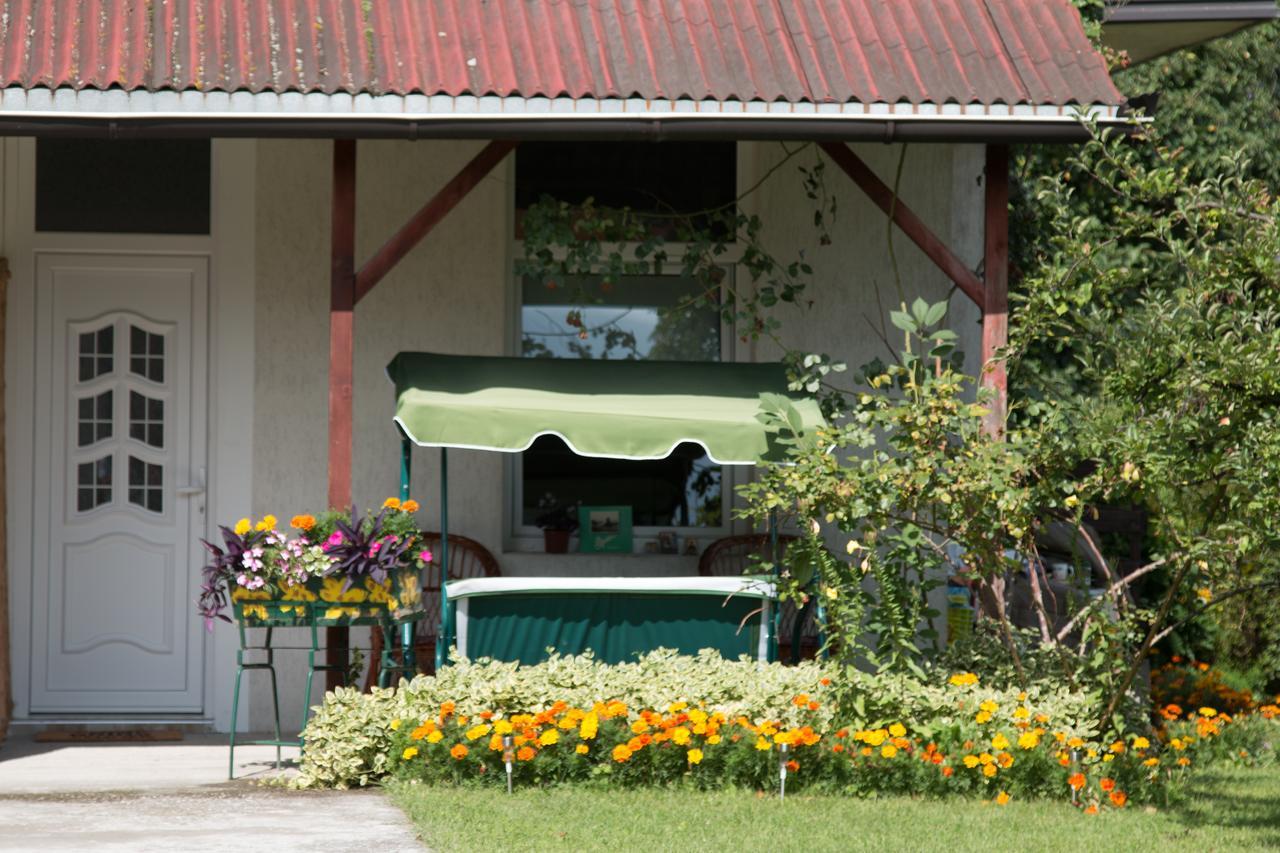 Hotel Drina - Bajina Basta Esterno foto