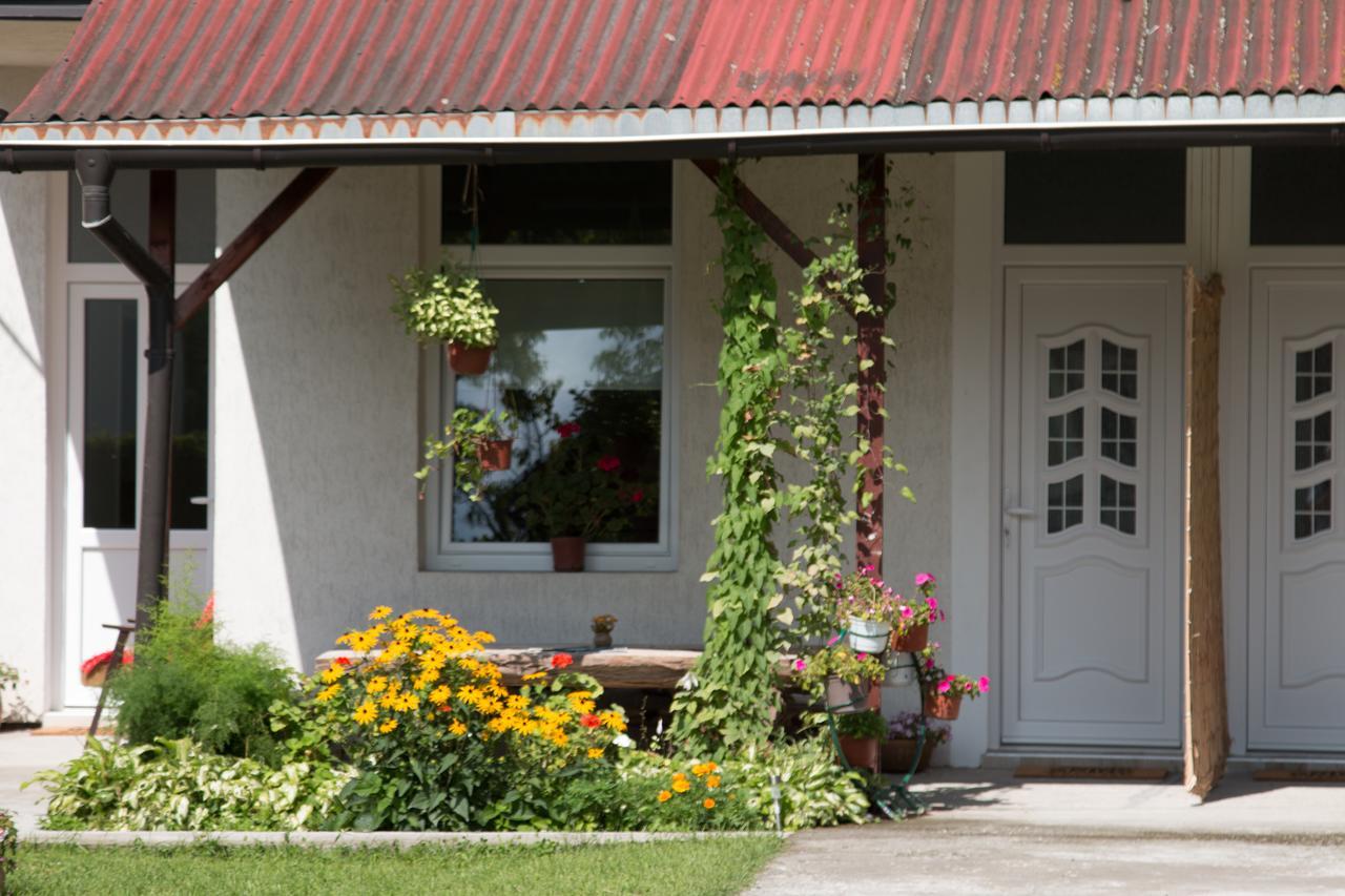 Hotel Drina - Bajina Basta Esterno foto